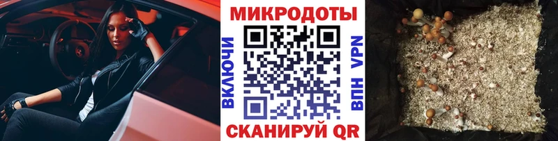 Галлюциногенные грибы Psilocybe Купить где Белый